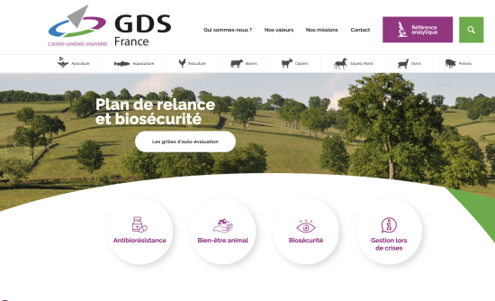 Site Internet GDS France